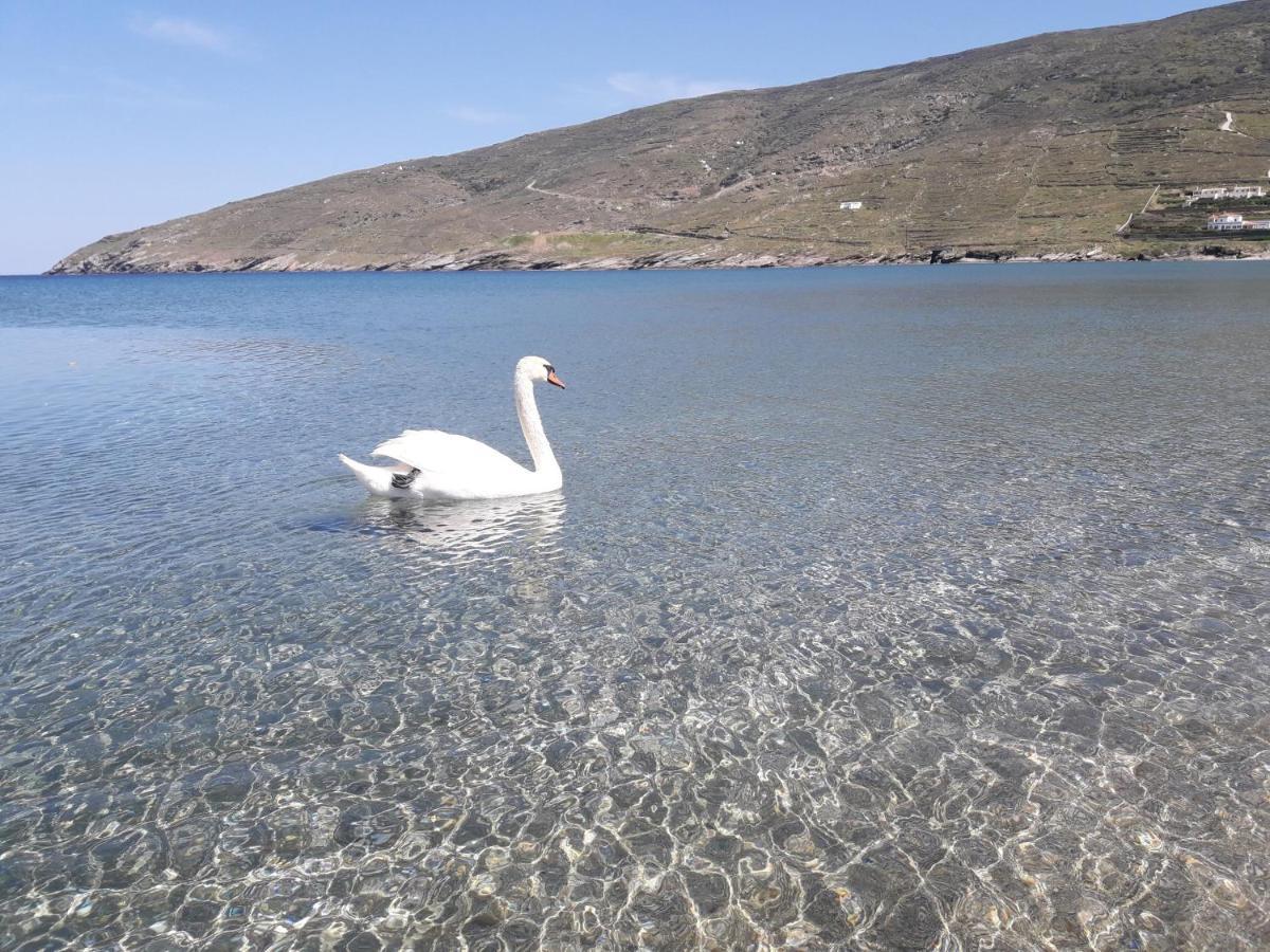 Liopi Village Andros Ormos  Ngoại thất bức ảnh